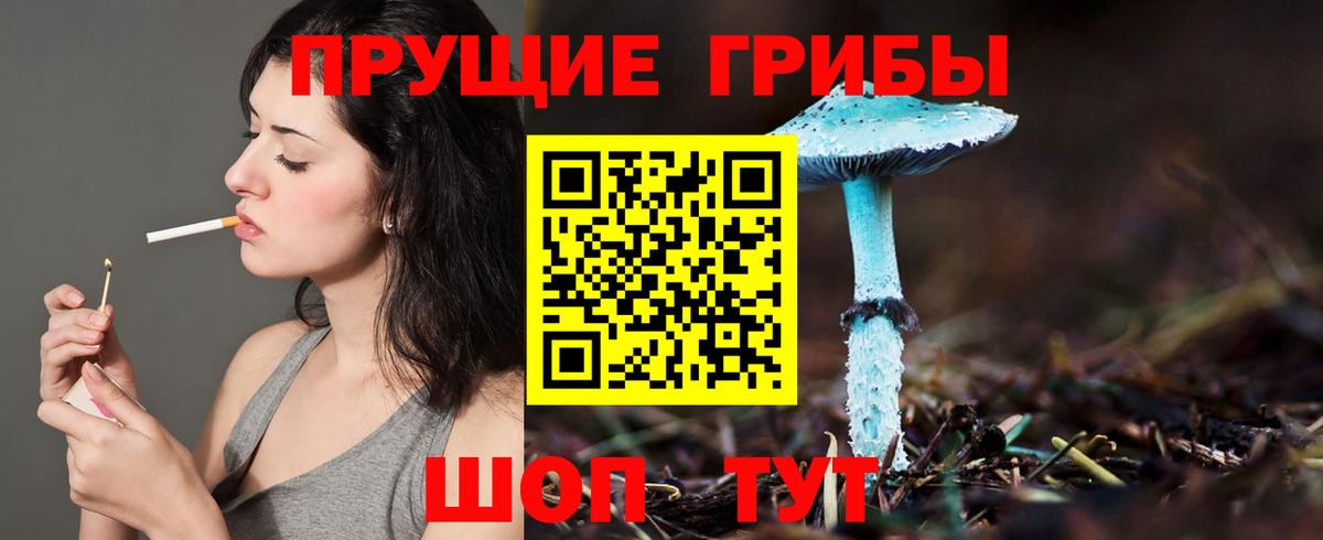 Хабаровск  Галлюциногенные грибы мицелий  Вход с VPN 